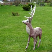 7c63101a80c17ef8610d943892c4e8c9