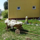 7eda2f355ed9364e95cc58627e0a4935