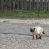 85df84bcb4c4109928636ac8aab99ea2