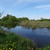 8695ffff3db1699e9db162bc92d53b75