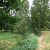 86c470cc2bd1cae9da36d3fa454be6df