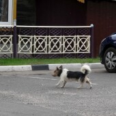 899f8d52d71e169e4caf7b848c04b242