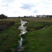 8ac738e9314f5584c0cfe009650050fa