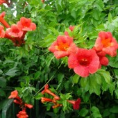 8c7157804882284874ea359bd6fccafc