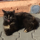 8c934193978c63f1635d27295e7fc848