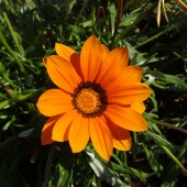 8ce1c887e4c7e76e90034a0f5fa39803