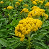 8dd3df1fc9bbb7a8d394c4b15eab400c