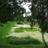 8e8c4a66daaea913304d437a8d732e07