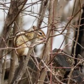 8f4cd10a1cd900964f2269b75a7f94c5