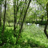 8f8b0a2a9361c396e6229ecfe26b8cb9