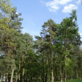 95bb5fd067239fdb9117b9e79a4270c0