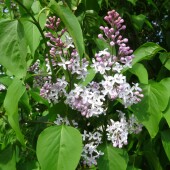 99e1790b0948e2cede85b4c0eca8c587