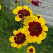 a13f7b828bcaa8aa078e1eb98f178773