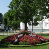 a4d5c7086db4d14c98f4cd35d858d137