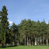 aa3f1474d795b7da75c78143654b4766