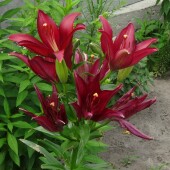 ab70d5919139500634c6b4278c895c61