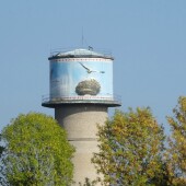 ad4fa3c93ce36e705ffa6ea015ec7956