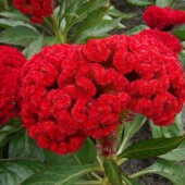 ad92e78b7f50daddfb64adc461b49579