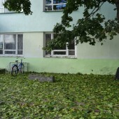 ae08dc685f2ce45fd68d7d81ef9648fd