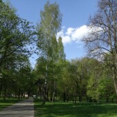 ae1d97bdb9ffaf80c7231241633bcc0f