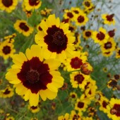 b01edce5f49471b3968d754ed523bd78