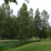 b4940469f4d839699c1c9affd91ac7fd