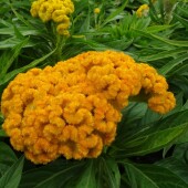 b6c2666c09889d5822484181efcde45a