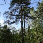 ba4b9db6f287dcfc88ab5d6dc110e69f