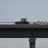 bc1a12fdcbcfcaa30da180b943b0fdf0