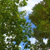 bc69cd4f570b9e063891008fd3da4615