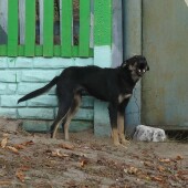 becd756dfca812a48ead84f20883d1ad