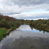 c185aacf1c2ead0af8825402ded55f61