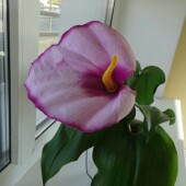 c3935c5fc8d34c3565ea0f25e91abd82