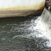 c41f97f5501380c0efdb64076ff5b4b2