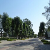 c634e0e9d67c919c590d004aa0f65af2