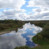 c91d4050da9846df77e82418ba994136