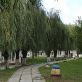 ce6481bfa107b878c3e53ac95942871c