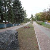 cf4ca37b6bfa1a01b3bdf19b5263bc97