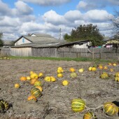 d6692b8f4e1726547a5bb79d847db2e6