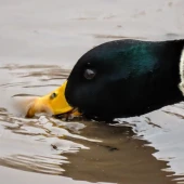 d7ebd482ad28b77abfa4816db6fb1912