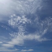 dbb250a1f42dc1161bb46e902d73e561