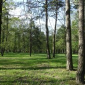 df9580a6ca5ee3b2af79423e6dda3511