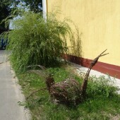 e1804d72965abc167c3ba63035c215fe