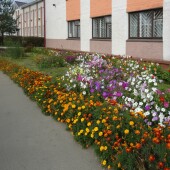 e3ef1e168490e627f62da953ef08aec3