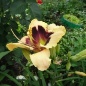 e54b41557cba842873dec2c6f4bb8ee5