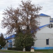 e57492646c7c19a045912bc76389178c