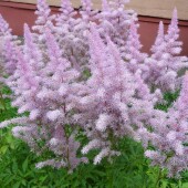 e80587ca9ffdc37656c1639ba157a8a0