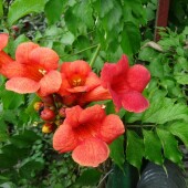 ea8c1fad537b3ff07866e1836d7e0029