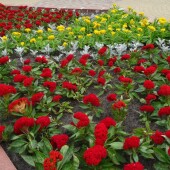 eab710b21947ad9a7095e16c9a5f938b