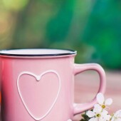 ebeabc178934edb329d52cb8c4d278fe